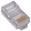 Conector RJ45 Macho UTP Cat.5e 6 unidades - CL1901