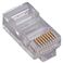 Conector RJ45 Macho UTP Cat.5e 30 unidades - CL1902